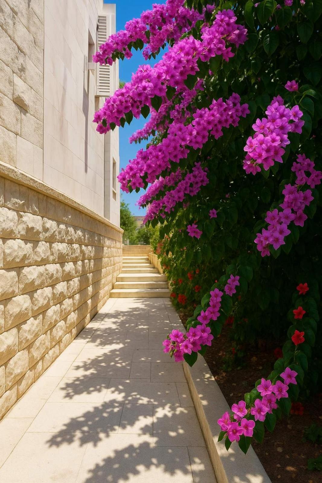 Apartments Villa Mirjana Budva Exterior foto